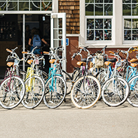 "row of bikes on uc davis campus"