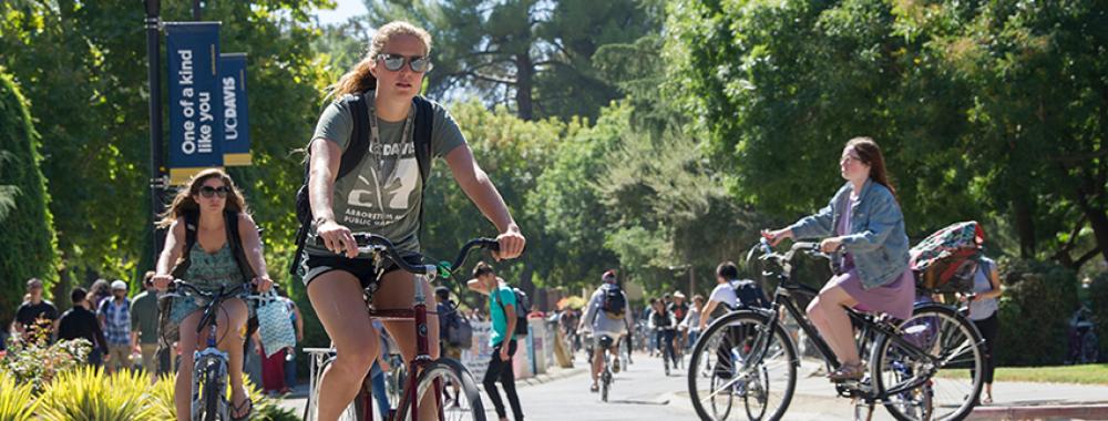 Photo of students biking at the UC Davis campus.