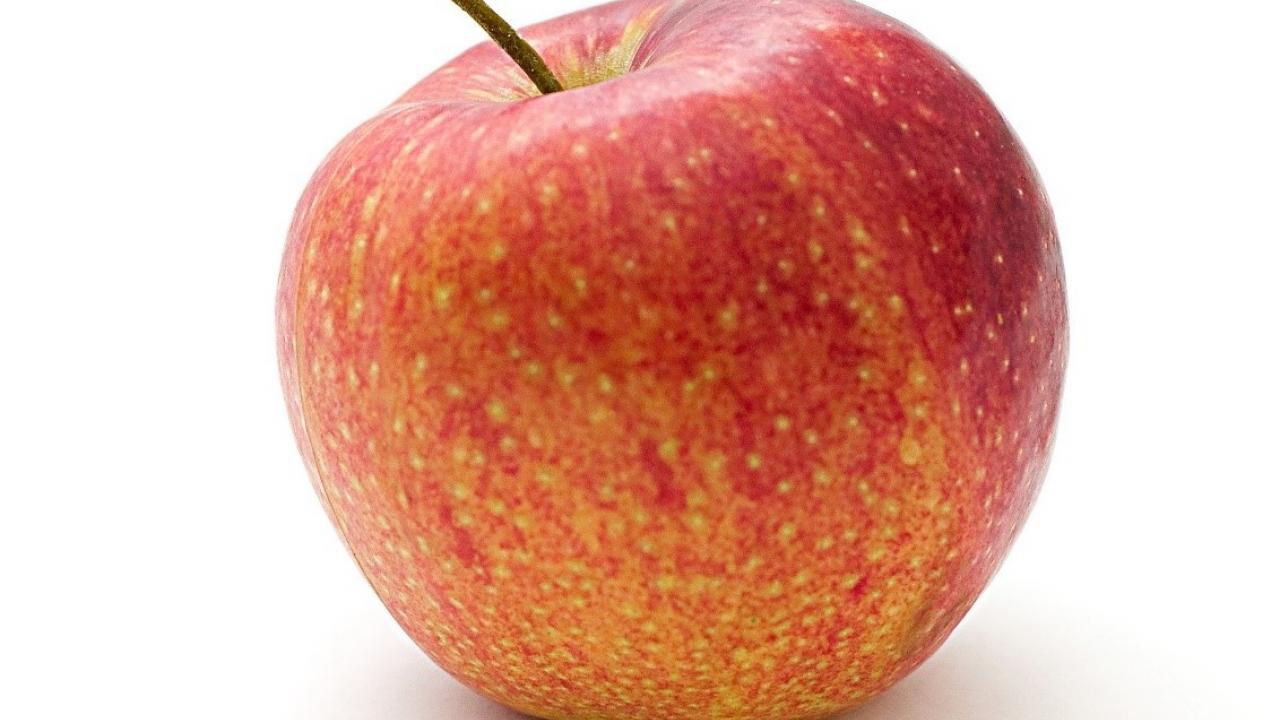 Picture of an apple