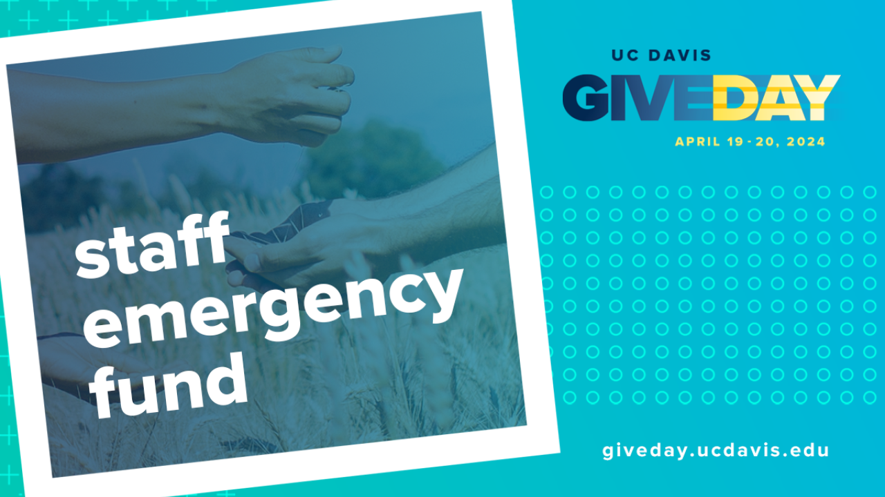 This Give Day, give to the Staff Emergency Fund