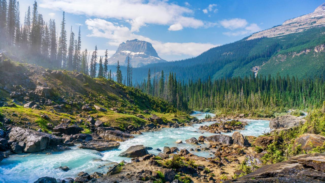 Mountain river winding through a rocky valley, pine forest and snow‑capped peaks