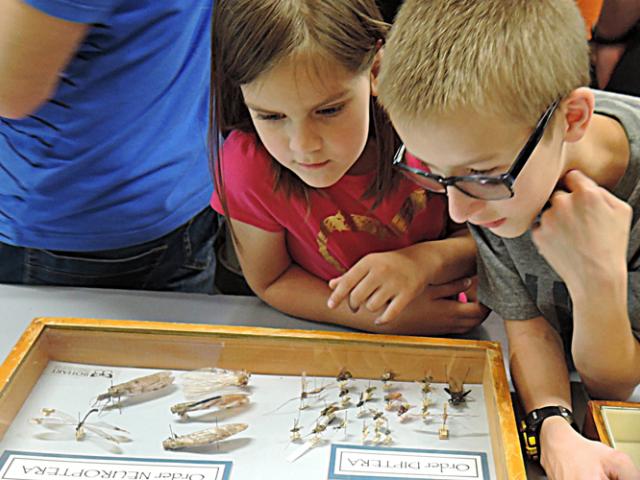 a young boy and girl looking at a case of bugs