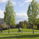 person riding their bike through uc davis campus